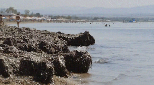 Documentary productions Thessaloniki Greece